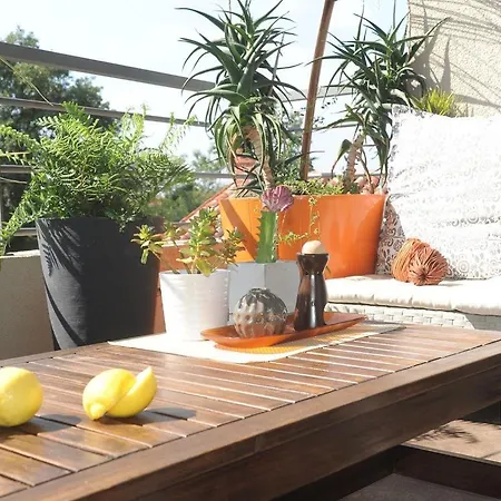 House Z Villa
